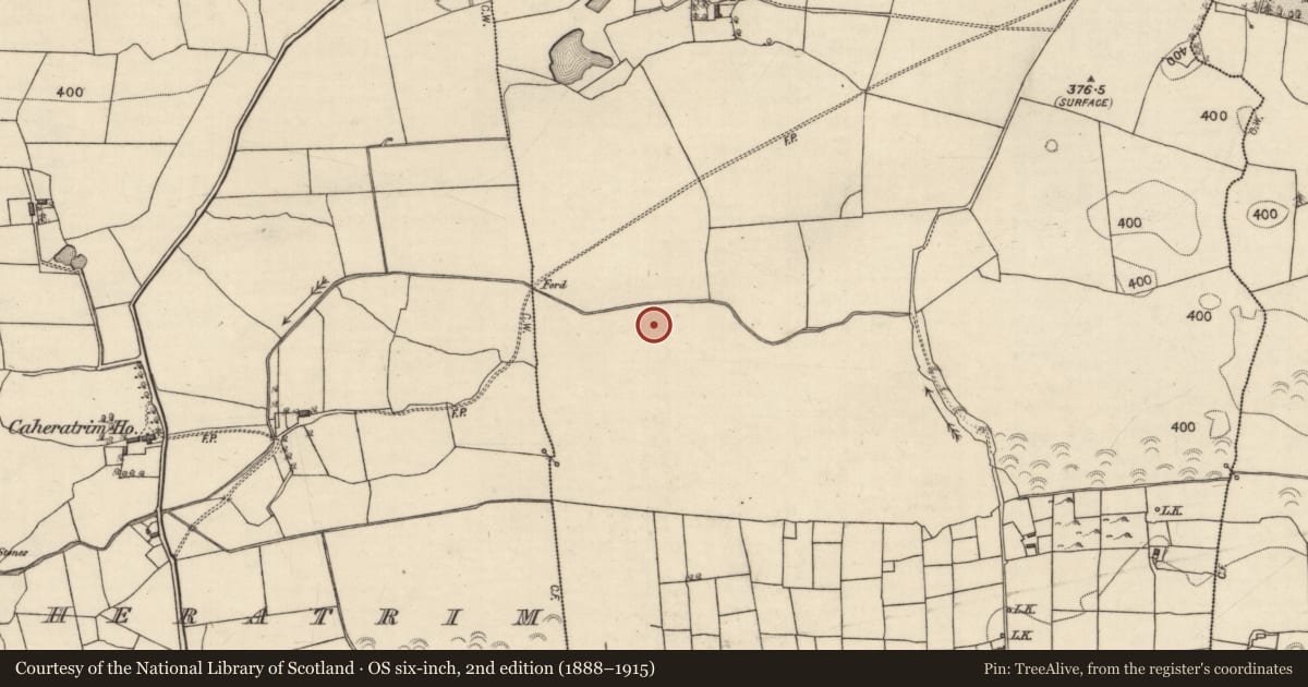 Ordnance Survey six-inch map, 2nd edition (1888–1915) covering the location of Megalithic tomb - wedge tomb, Burroge, County Galway, with a pin at the register's coordinates