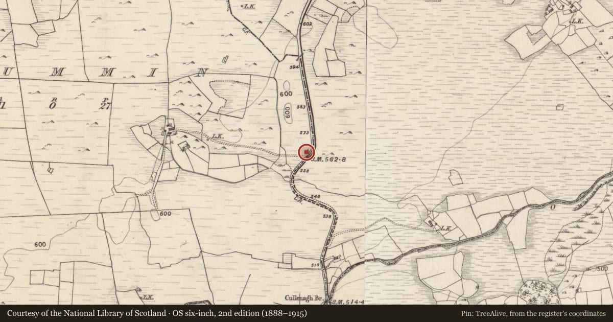 Ordnance Survey six-inch map, 2nd edition (1888–1915) covering the location of Quarry, Drummin, County Galway, with a pin at the register's coordinates