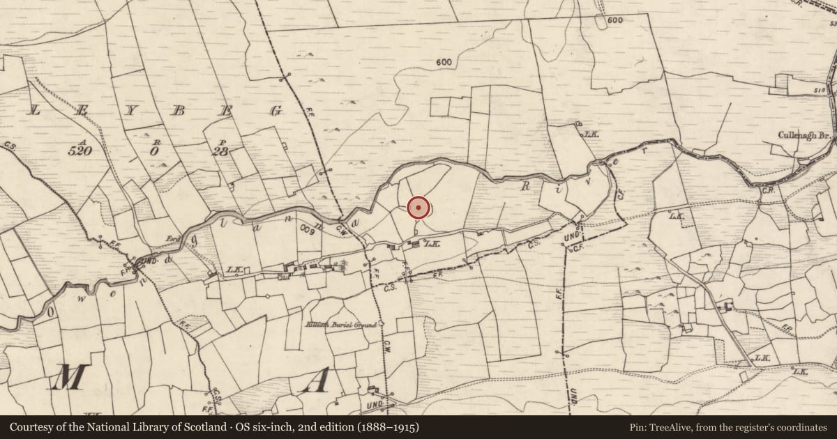 Ordnance Survey six-inch map, 2nd edition (1888–1915) covering the location of Field boundary, Drummin, County Galway, with a pin at the register's coordinates