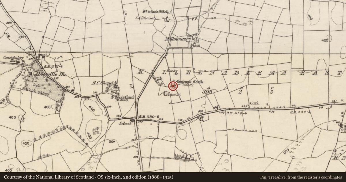 Ordnance Survey six-inch map, 2nd edition (1888–1915) covering the location of Castle - unclassified, Killeenadeema East, County Galway, with a pin at the register's coordinates