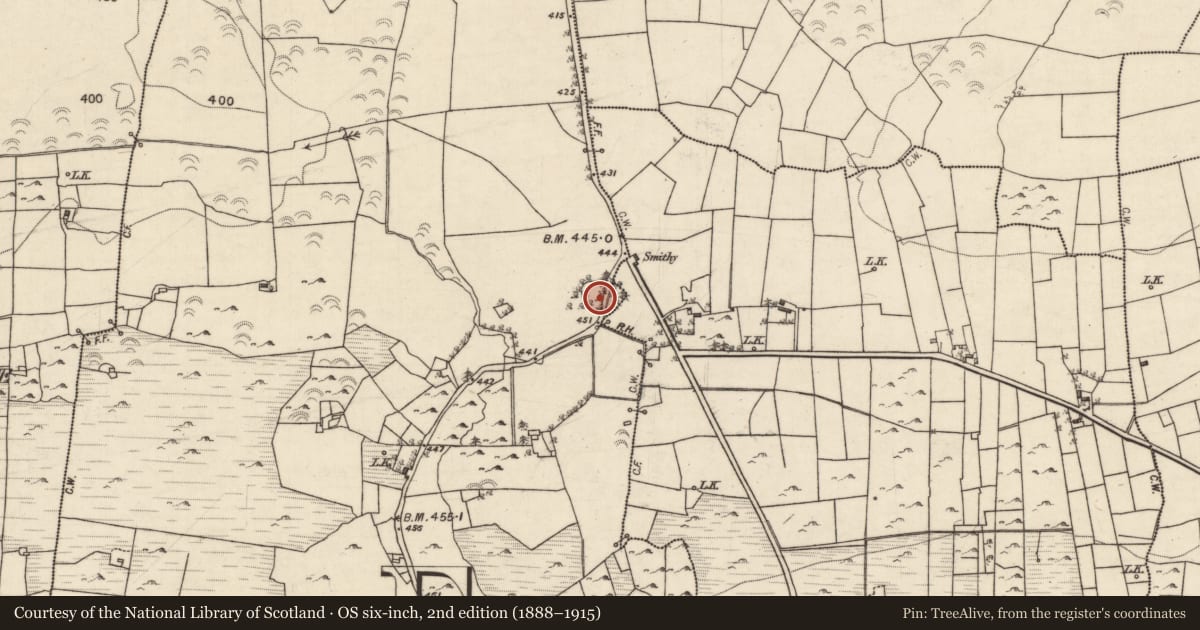 Ordnance Survey six-inch map, 2nd edition (1888–1915) covering the location of Designed landscape - folly, Killeenadeema West, County Galway, with a pin at the register's coordinates