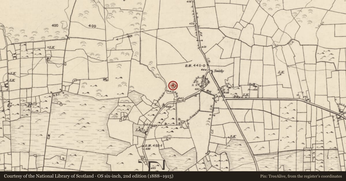 Ordnance Survey six-inch map, 2nd edition (1888–1915) covering the location of Children's burial ground, Killeenadeema West, County Galway, with a pin at the register's coordinates