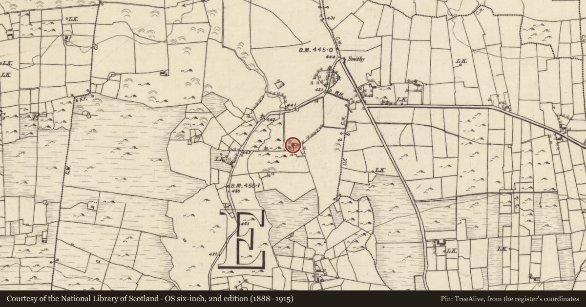 Ordnance Survey six-inch map, 2nd edition (1888–1915) covering the location of House - 18th/19th century, Killeenadeema West, County Galway, with a pin at the register's coordinates