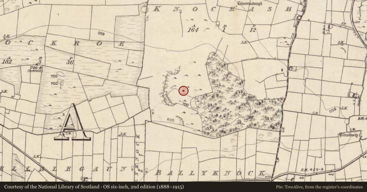 Ordnance Survey six-inch map, 2nd edition (1888–1915) covering the location of Hillfort, Knockash, County Galway, with a pin at the register's coordinates