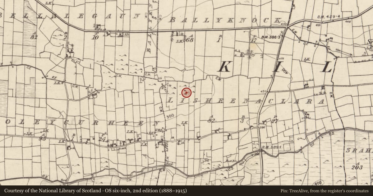 Ordnance Survey six-inch map, 2nd edition (1888–1915) covering the location of Children's burial ground, Lisheenaclara, County Galway, with a pin at the register's coordinates