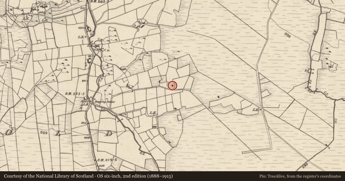 Ordnance Survey six-inch map, 2nd edition (1888–1915) covering the location of Ringfort - rath, Sonnagh New, County Galway, with a pin at the register's coordinates