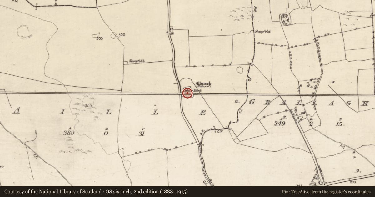 Ordnance Survey six-inch map, 2nd edition (1888–1915) covering the location of Graveyard, Aille, County Galway, with a pin at the register's coordinates