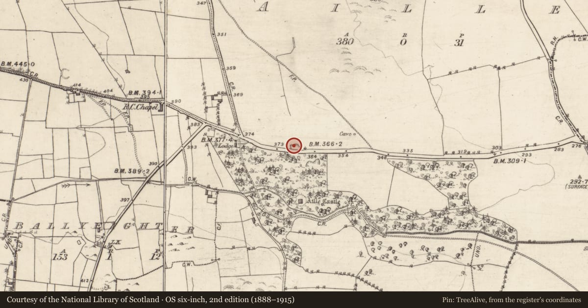 Ordnance Survey six-inch map, 2nd edition (1888–1915) covering the location of Quarry, Aille, County Galway, with a pin at the register's coordinates