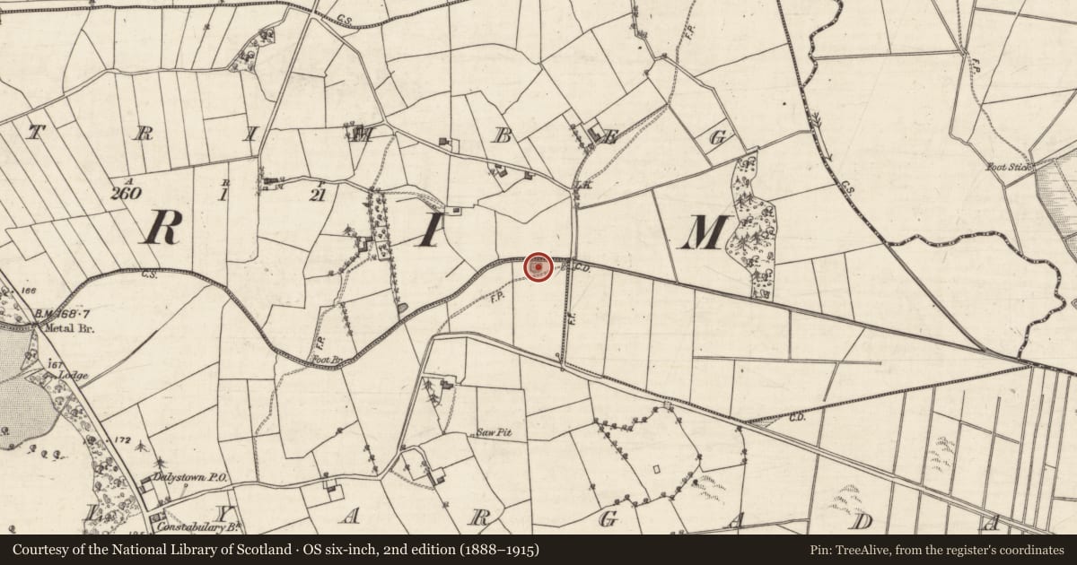Ordnance Survey six-inch map, 2nd edition (1888–1915) covering the location of Quarry, Ballyargadaun, County Galway, with a pin at the register's coordinates