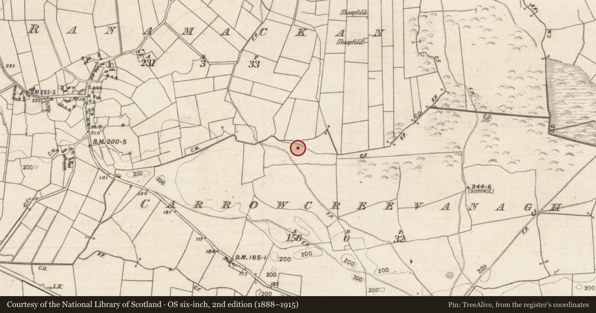 Ordnance Survey six-inch map, 2nd edition (1888–1915) covering the location of Enclosure, Carrowcreevanagh, County Galway, with a pin at the register's coordinates
