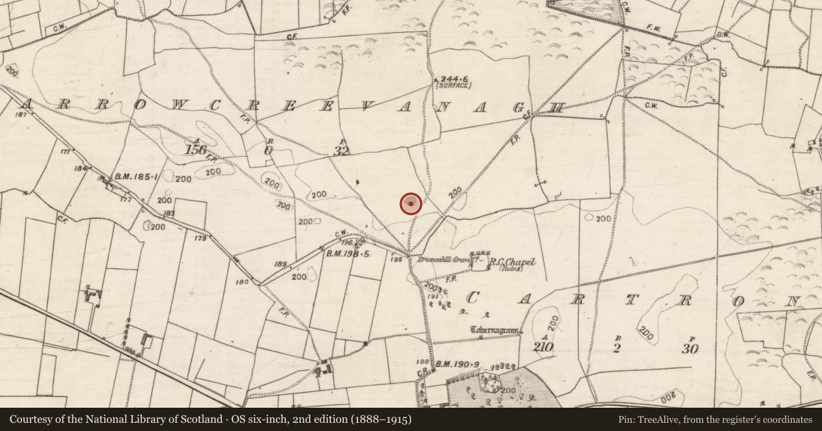 Ordnance Survey six-inch map, 2nd edition (1888–1915) covering the location of Quarry, Carrowcreevanagh, County Galway, with a pin at the register's coordinates