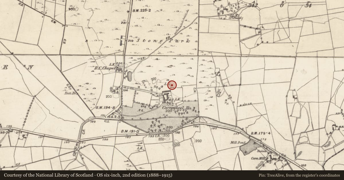 Ordnance Survey six-inch map, 2nd edition (1888–1915) covering the location of Standing stone, Carrowkeel, County Galway, with a pin at the register's coordinates