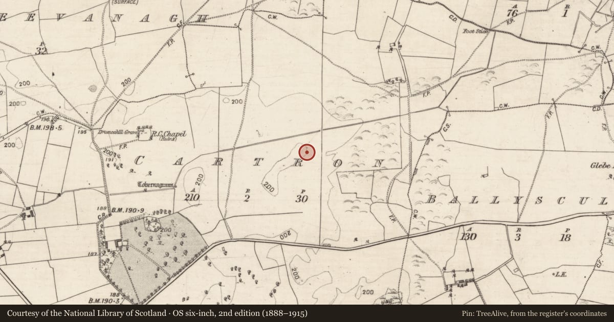 Ordnance Survey six-inch map, 2nd edition (1888–1915) covering the location of Quarry, Cartron, County Galway, with a pin at the register's coordinates