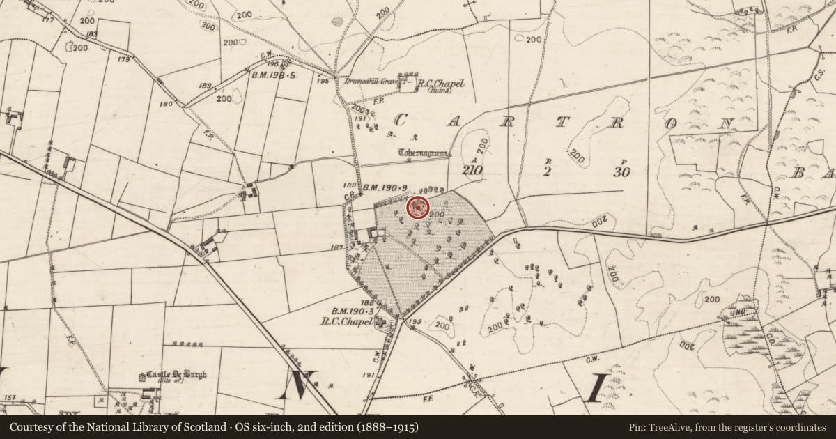 Ordnance Survey six-inch map, 2nd edition (1888–1915) covering the location of Designed landscape feature, Cartron, County Galway, with a pin at the register's coordinates