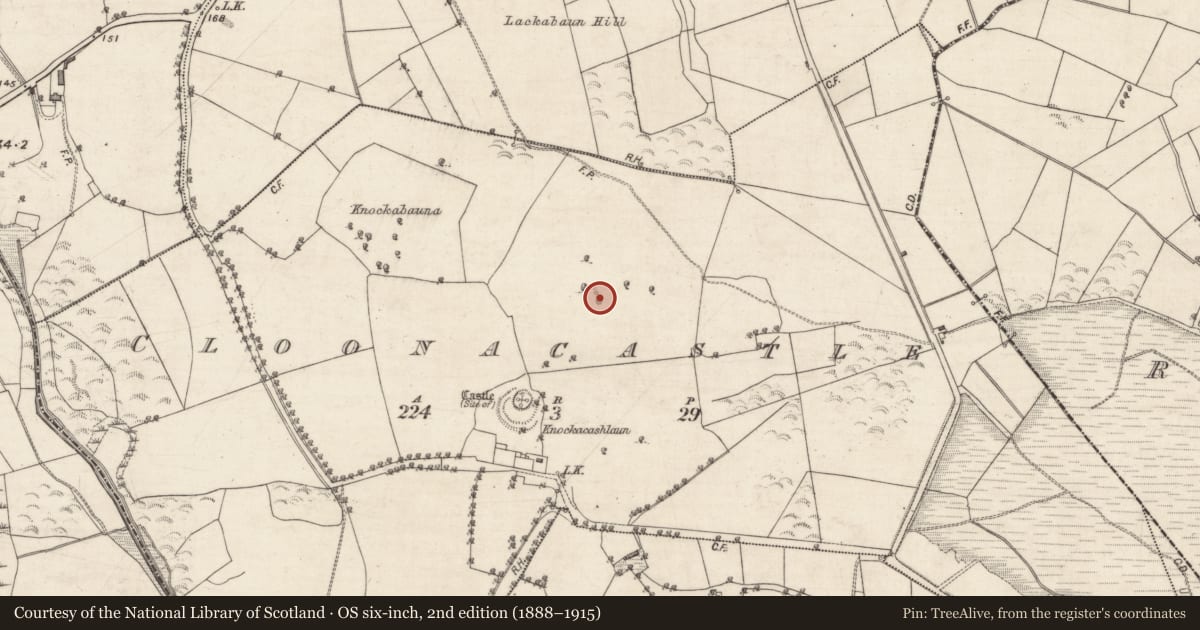 Ordnance Survey six-inch map, 2nd edition (1888–1915) covering the location of Quarry, Cloonacastle, County Galway, with a pin at the register's coordinates