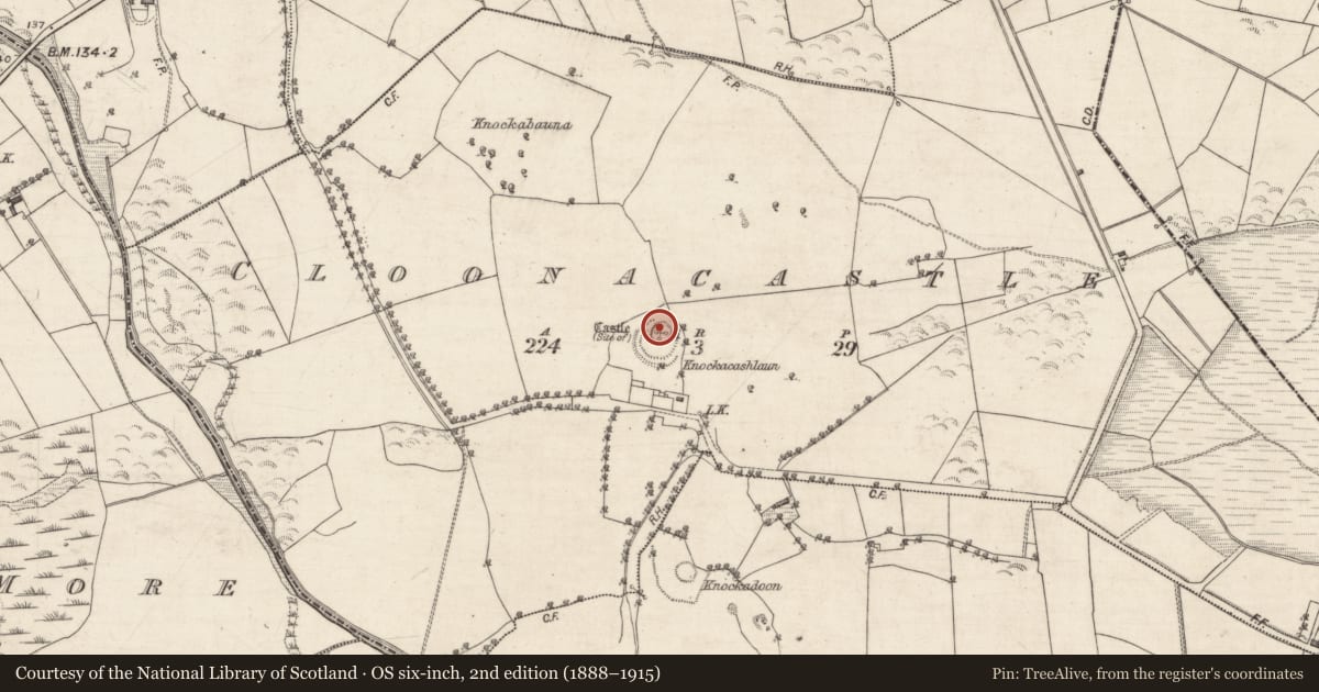 Ordnance Survey six-inch map, 2nd edition (1888–1915) covering the location of Castle - motte and bailey, Cloonacastle, County Galway, with a pin at the register's coordinates