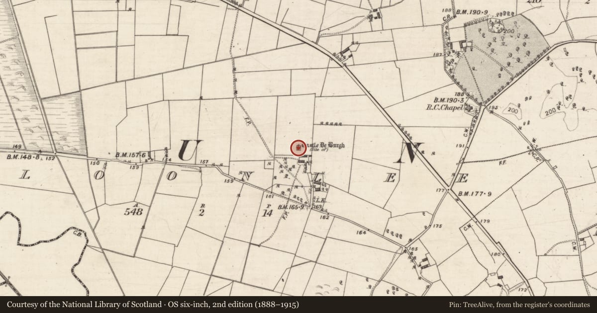 Ordnance Survey six-inch map, 2nd edition (1888–1915) covering the location of Castle - unclassified, Cloonlee, County Galway, with a pin at the register's coordinates