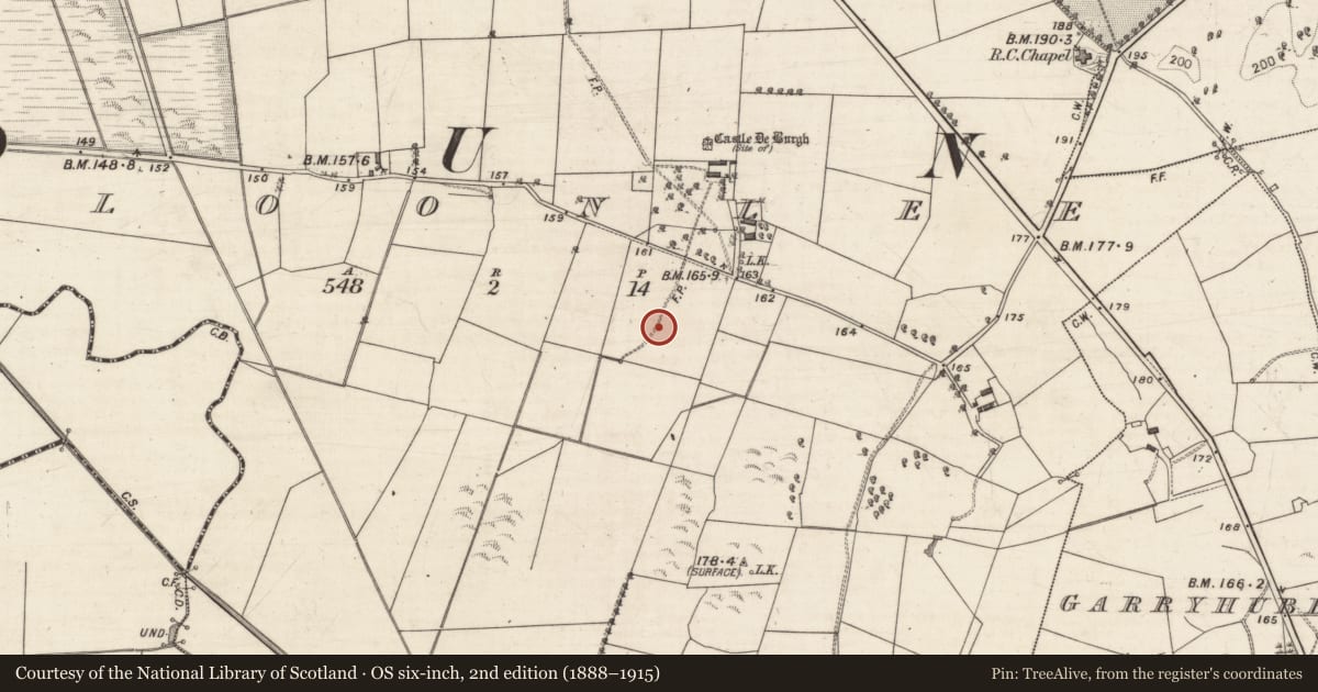 Ordnance Survey six-inch map, 2nd edition (1888–1915) covering the location of Designed landscape feature, Cloonlee, County Galway, with a pin at the register's coordinates