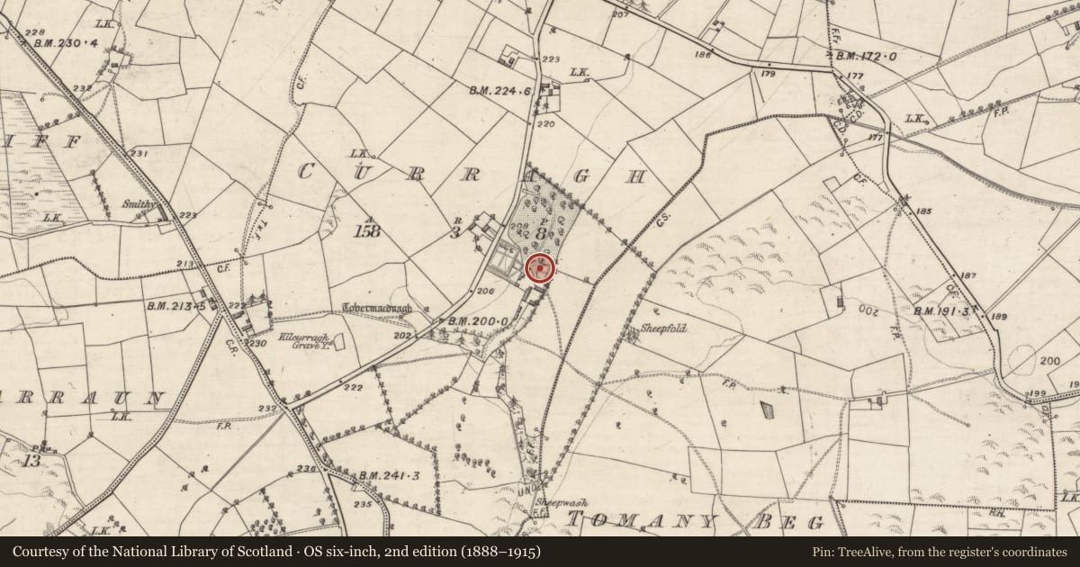 Ordnance Survey six-inch map, 2nd edition (1888–1915) covering the location of Enclosure, Curragh, County Galway, with a pin at the register's coordinates