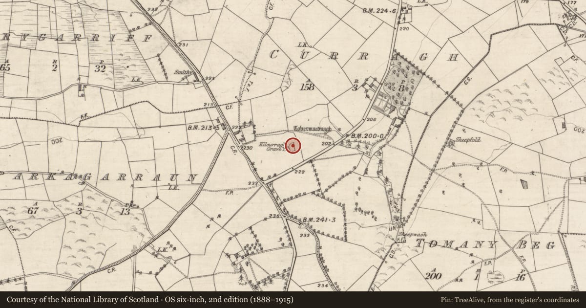 Ordnance Survey six-inch map, 2nd edition (1888–1915) covering the location of Bullaun stone, Curragh, County Galway, with a pin at the register's coordinates