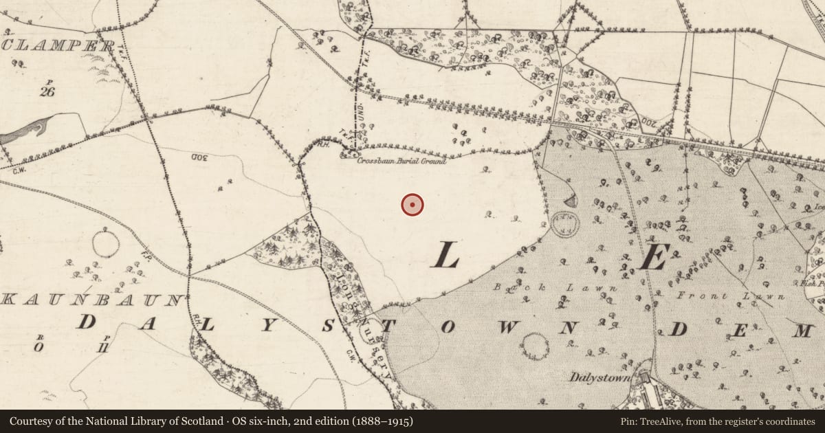 Ordnance Survey six-inch map, 2nd edition (1888–1915) covering the location of Designed landscape feature, Dalystown Demesne, County Galway, with a pin at the register's coordinates