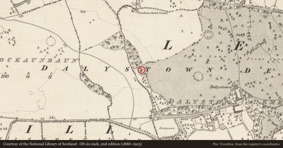 Ordnance Survey six-inch map, 2nd edition (1888–1915) covering the location of Ringfort - rath, Dalystown Demesne, County Galway, with a pin at the register's coordinates