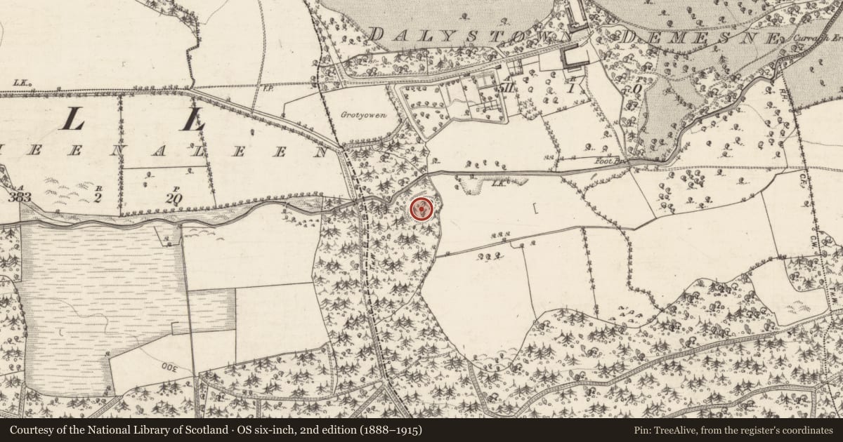 Ordnance Survey six-inch map, 2nd edition (1888–1915) covering the location of Ringfort - rath, Dalystown Demesne, County Galway, with a pin at the register's coordinates