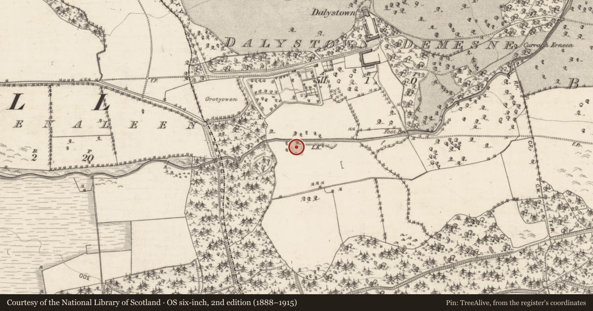 Ordnance Survey six-inch map, 2nd edition (1888–1915) covering the location of Quarry, Dalystown Demesne, County Galway, with a pin at the register's coordinates