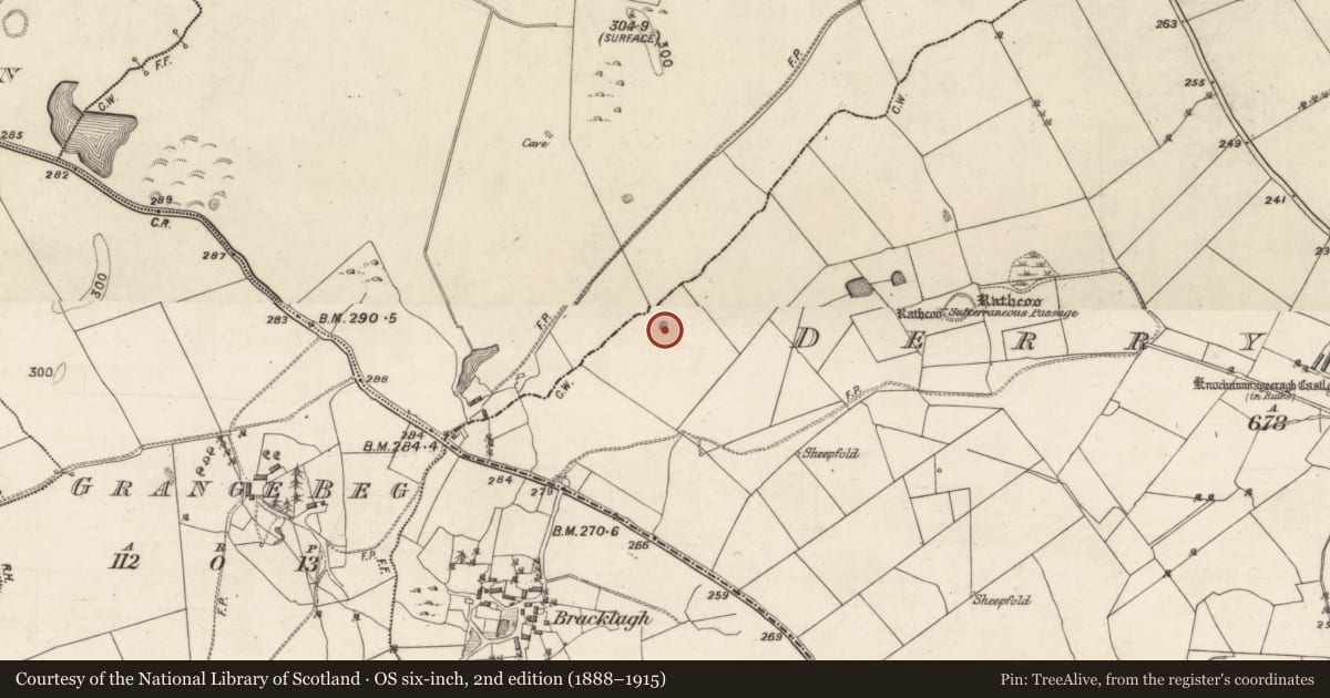 Ordnance Survey six-inch map, 2nd edition (1888–1915) covering the location of Quarry, Derryfrench, County Galway, with a pin at the register's coordinates