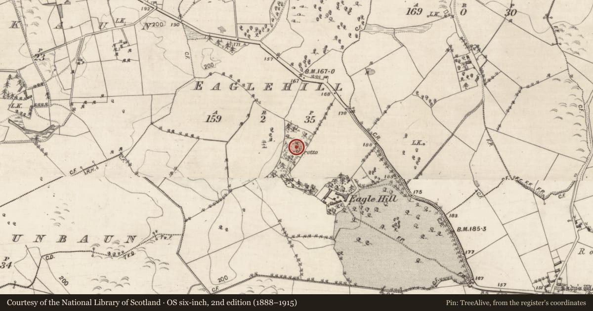 Ordnance Survey six-inch map, 2nd edition (1888–1915) covering the location of Designed landscape - folly, Eaglehill, County Galway, with a pin at the register's coordinates