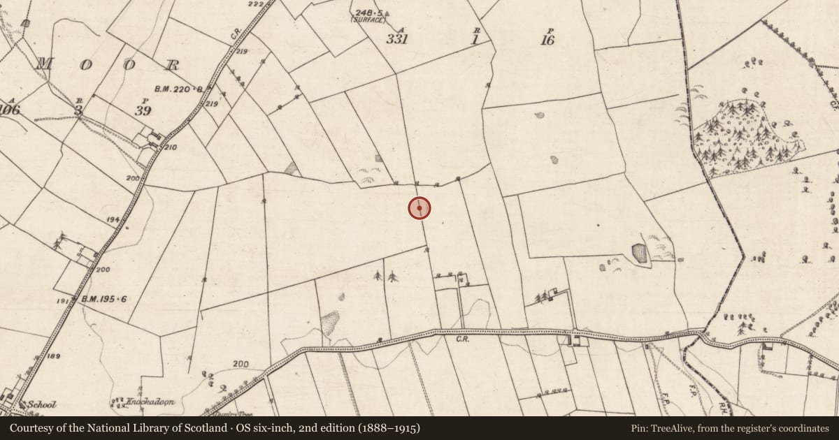 Ordnance Survey six-inch map, 2nd edition (1888–1915) covering the location of Ringfort - rath, Feagh, County Galway, with a pin at the register's coordinates