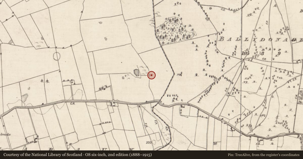 Ordnance Survey six-inch map, 2nd edition (1888–1915) covering the location of Quarry, Feagh, County Galway, with a pin at the register's coordinates