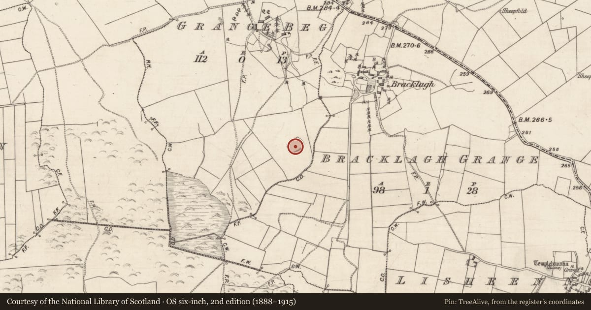 Ordnance Survey six-inch map, 2nd edition (1888–1915) covering the location of Enclosure, Grange Beg, County Galway, with a pin at the register's coordinates