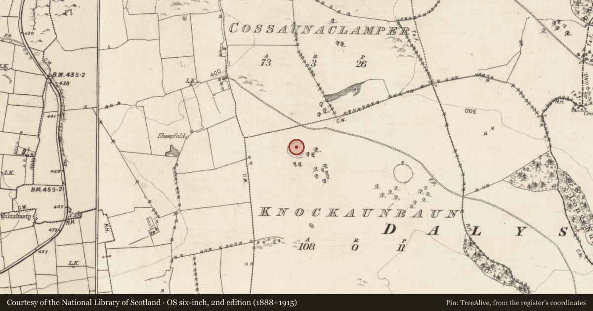 Ordnance Survey six-inch map, 2nd edition (1888–1915) covering the location of Souterrain, Knockaunbaun, County Galway, with a pin at the register's coordinates