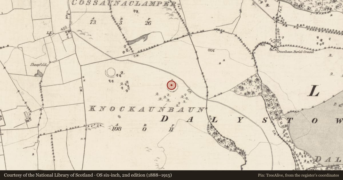 Ordnance Survey six-inch map, 2nd edition (1888–1915) covering the location of Ringfort - rath, Knockaunbaun, County Galway, with a pin at the register's coordinates