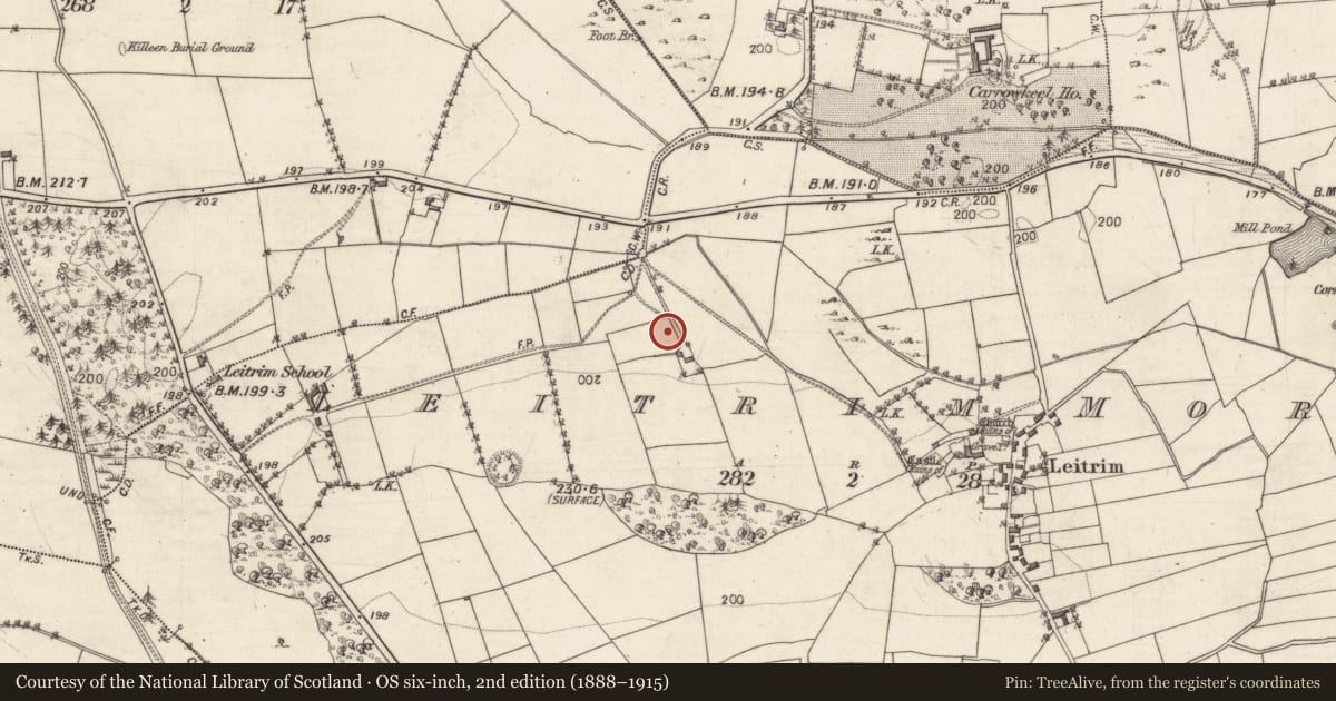 Ordnance Survey six-inch map, 2nd edition (1888–1915) covering the location of Standing stone, Leitrim More, County Galway, with a pin at the register's coordinates