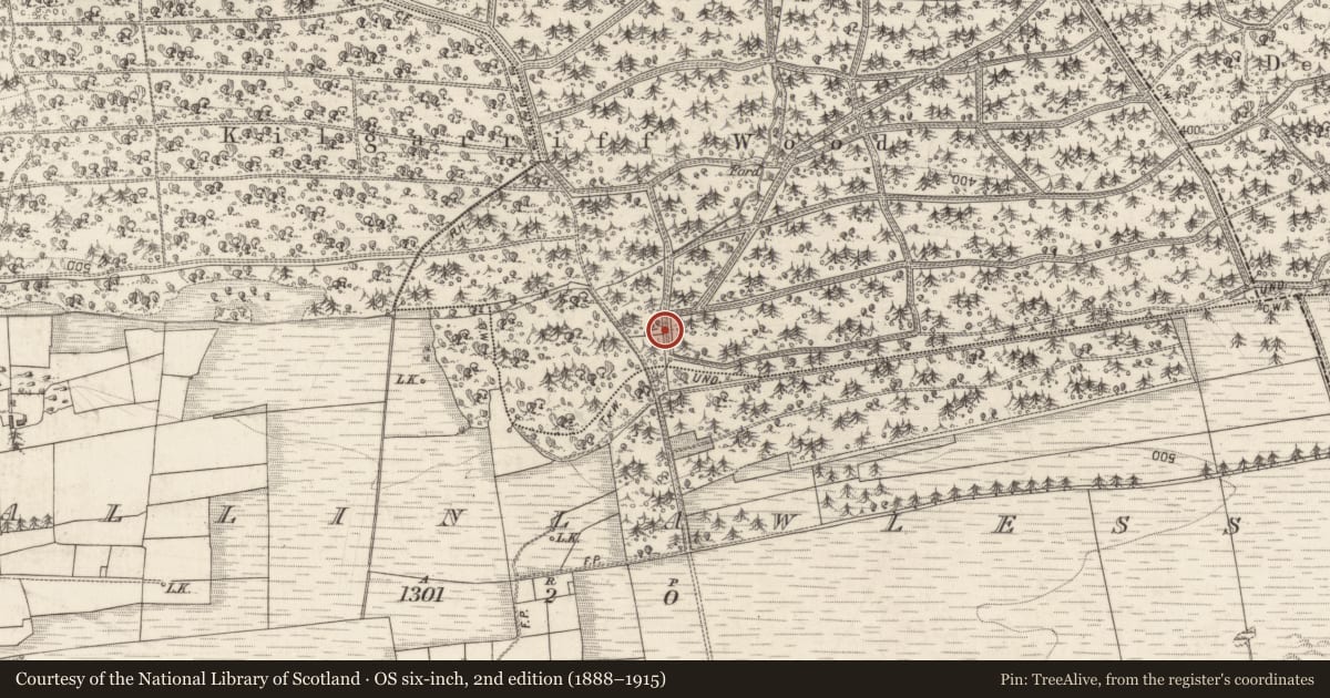 Ordnance Survey six-inch map, 2nd edition (1888–1915) covering the location of Standing stone, Lisheenaleen, County Galway, with a pin at the register's coordinates