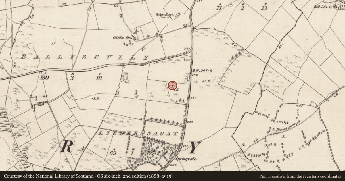 Ordnance Survey six-inch map, 2nd edition (1888–1915) covering the location of Ringfort - rath, Lisheennagat, County Galway, with a pin at the register's coordinates