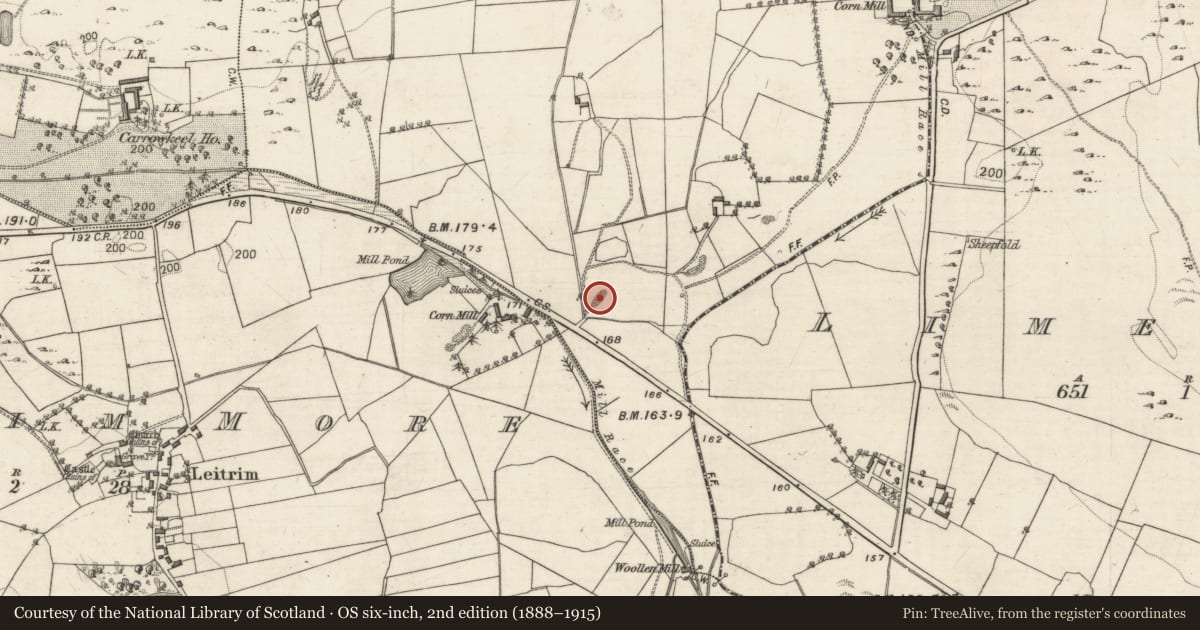 Ordnance Survey six-inch map, 2nd edition (1888–1915) covering the location of Quarry, Lisnagry, County Galway, with a pin at the register's coordinates