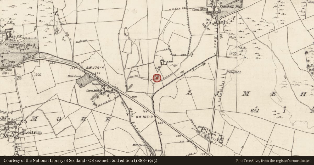 Ordnance Survey six-inch map, 2nd edition (1888–1915) covering the location of Quarry, Lisnagry, County Galway, with a pin at the register's coordinates