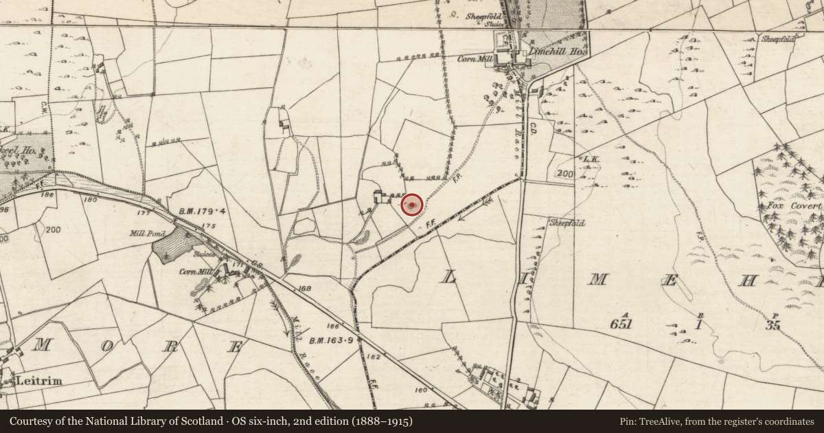 Ordnance Survey six-inch map, 2nd edition (1888–1915) covering the location of Quarry, Lisnagry, County Galway, with a pin at the register's coordinates