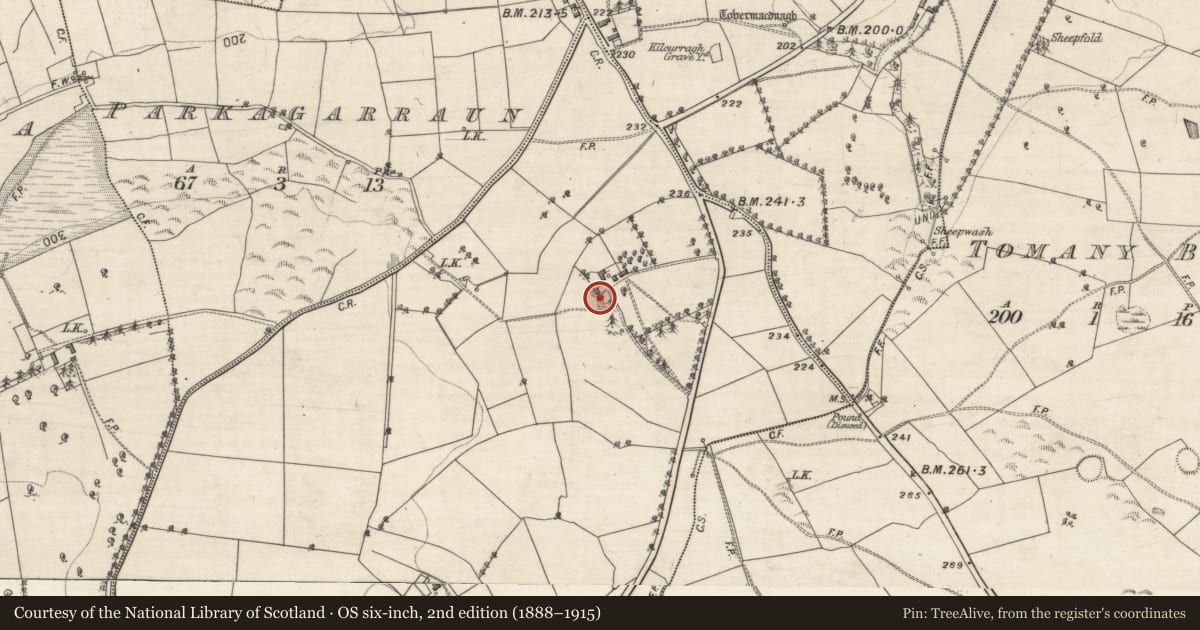 Ordnance Survey six-inch map, 2nd edition (1888–1915) covering the location of Quarry, Liss, County Galway, with a pin at the register's coordinates