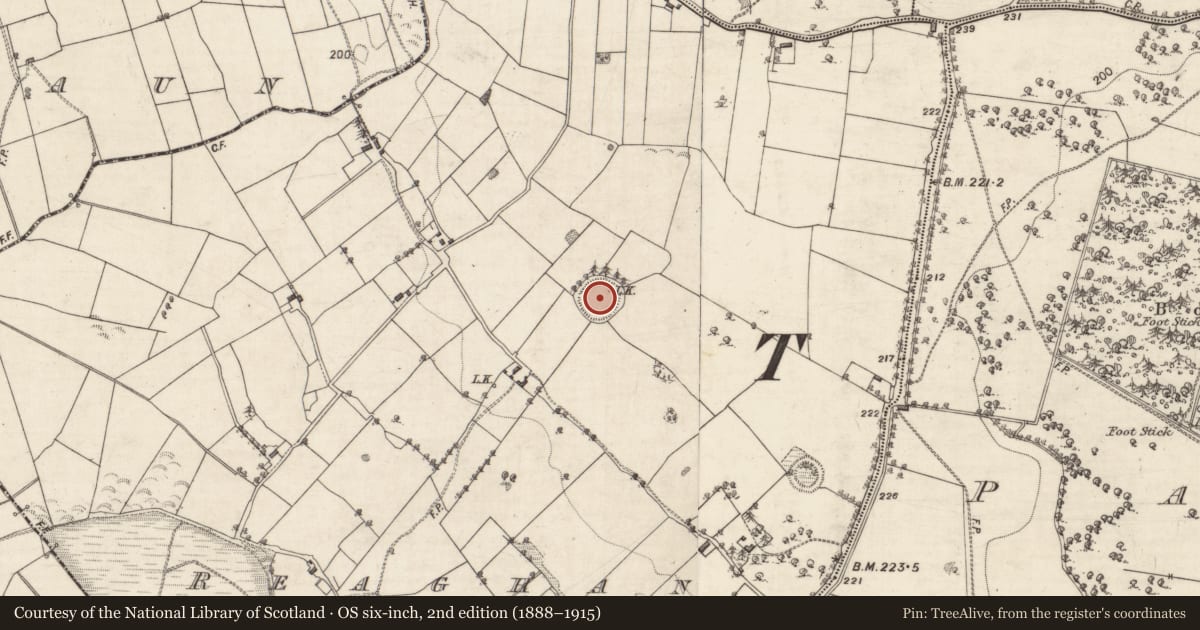 Ordnance Survey six-inch map, 2nd edition (1888–1915) covering the location of Souterrain, Reaghan, County Galway, with a pin at the register's coordinates