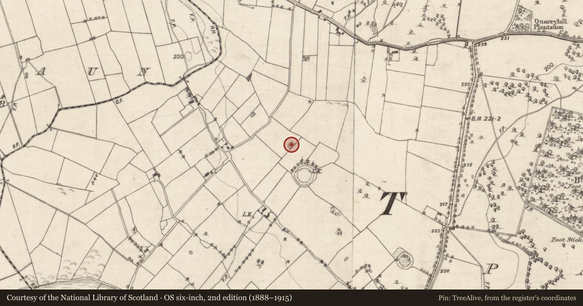 Ordnance Survey six-inch map, 2nd edition (1888–1915) covering the location of Quarry, Reaghan, County Galway, with a pin at the register's coordinates