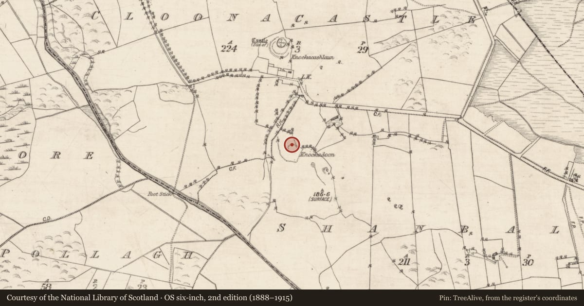 Ordnance Survey six-inch map, 2nd edition (1888–1915) covering the location of Ringfort - rath, Shanbally, County Galway, with a pin at the register's coordinates