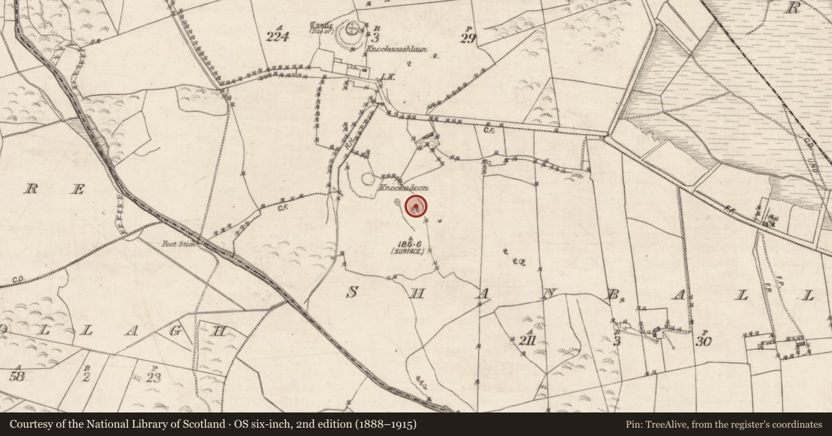 Ordnance Survey six-inch map, 2nd edition (1888–1915) covering the location of Quarry, Shanbally, County Galway, with a pin at the register's coordinates