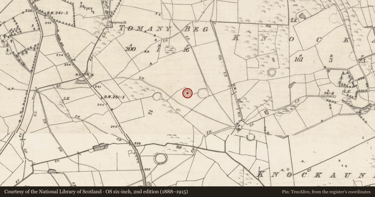 Ordnance Survey six-inch map, 2nd edition (1888–1915) covering the location of Ringfort - rath, Tomany Beg, County Galway, with a pin at the register's coordinates