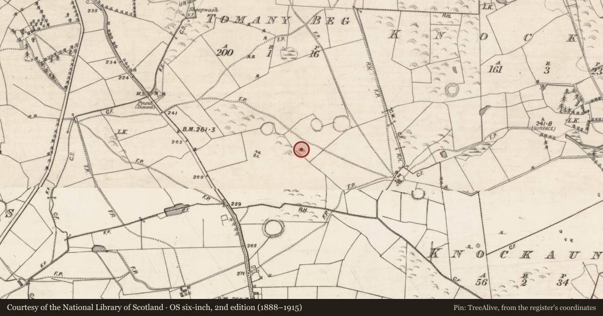 Ordnance Survey six-inch map, 2nd edition (1888–1915) covering the location of Quarry, Tomany Beg, County Galway, with a pin at the register's coordinates