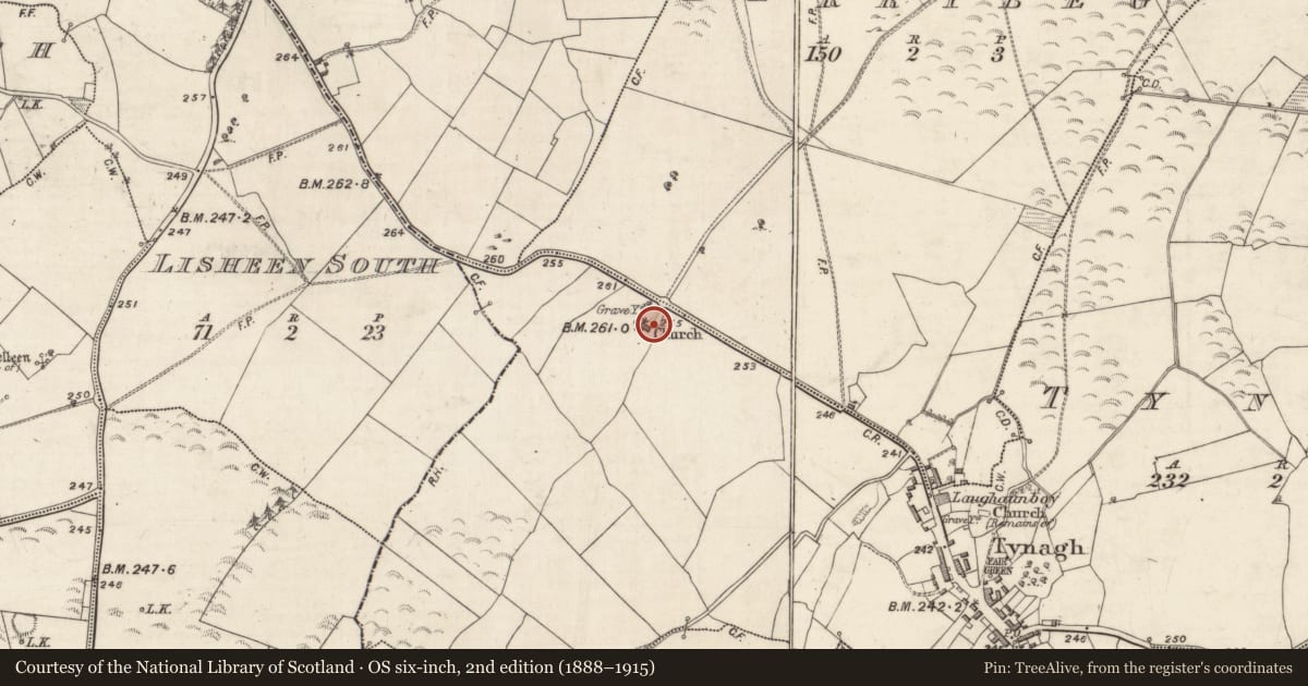 Ordnance Survey six-inch map, 2nd edition (1888–1915) covering the location of Graveyard, Tynagh, County Galway, with a pin at the register's coordinates