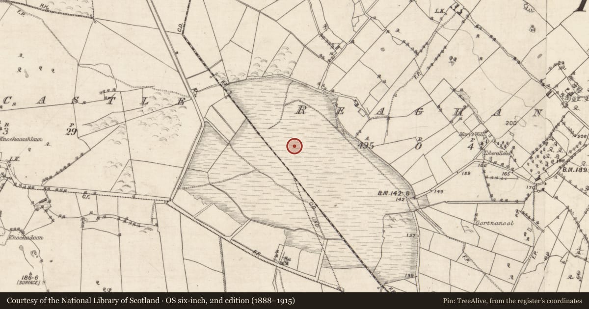 Ordnance Survey six-inch map, 2nd edition (1888–1915) covering the location of Fulacht fia, Reaghan, County Galway, with a pin at the register's coordinates